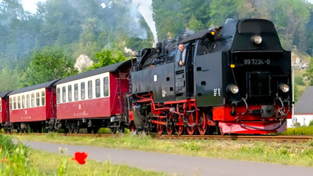 Ein Foto eines Dampfzuges der Harzer Schmalspurbahnen. Eine schwarze Lokomotive und zwei weiß-rote Waggons.