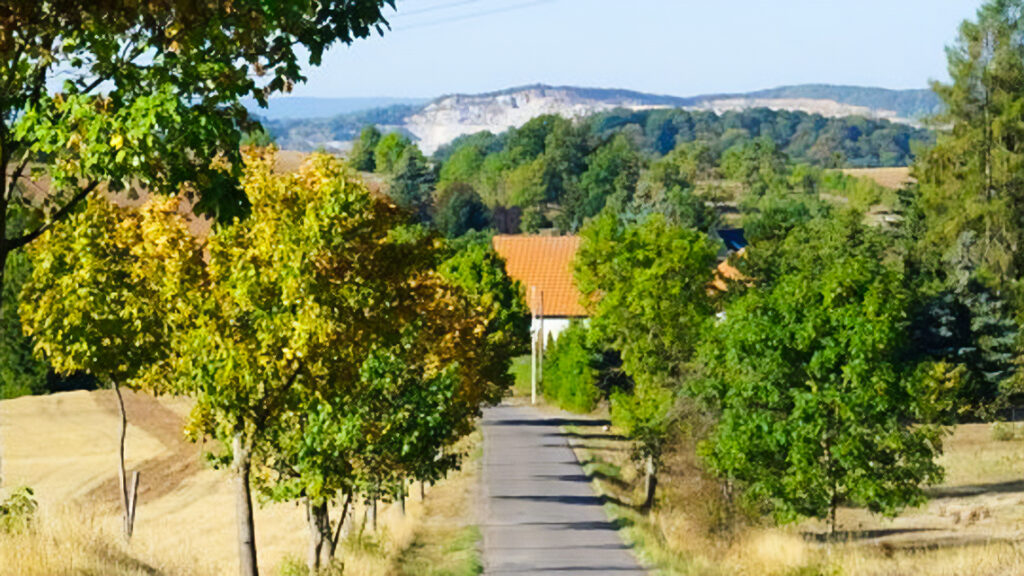 Eine schmale Allee führt den Berg hinab in einen Ort, im Hintergrund sieht man die Abbruchkante eines Kalkberges und Wald.