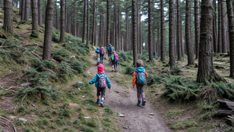 Wandernadel speziell für Kinder