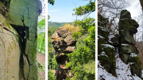 Natur erleben in und um Harztor