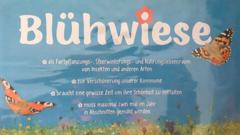 Zwischen Blühwiesen und intensiver Rasenpflege