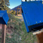 Zwei Fotos zeigen die beschädigte Stempelstelle 8 der „Harztor Wanderkinder“ am Hexenspielplatz in Ilfeld. Links ist der blaue, witterungsgezeichnete Stempelkasten auf einem Holzpfosten vor der Spielplatzkulisse zu sehen. Rechts eine Nahaufnahme mit herausgerissenem Stempel, der nur noch an einem Draht hängt.