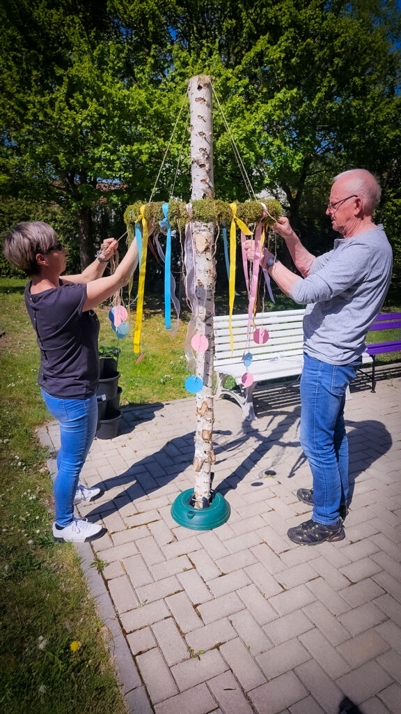 Zwei Personen befestigen bunte Bänder und Wunschzettel an einem Maibaum aus Birke im Garten.