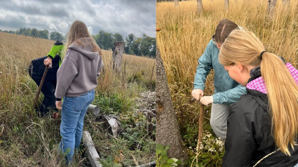 (Collage): Links beobachtet eine Schülerin einen Forstmitarbeiter beim Graben; rechts setzen zwei Schülerinnen mit dem Spaten einen Setzling nahe eines Baumstumpfs.