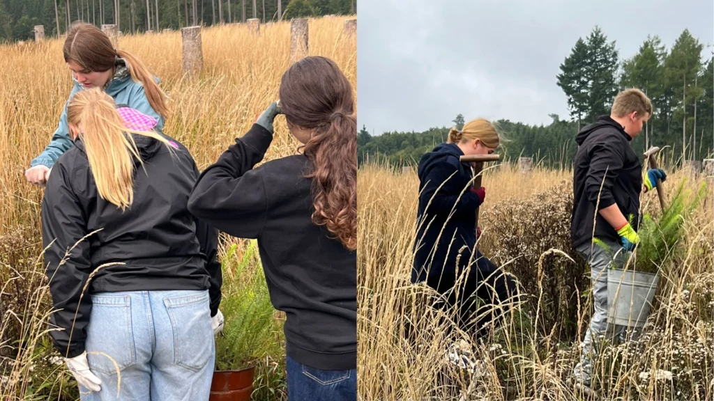 (Collage): Links drei Schülerinnen markieren und prüfen Setzlinge im hohen Gras; rechts zwei Jugendliche gehen mit Spaten und einem Eimer voller junger Bäume durch die Fläche.