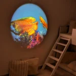 Abgedunkelter Ruheraum (Snoezelraum) mit Hochbett und Kissen; runde Wandprojektion zeigt bunte Fische über Korallen – beruhigende Unterwasserstimmung.