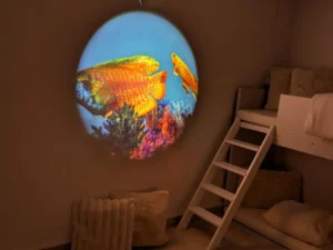 Abgedunkelter Ruheraum (Snoezelraum) mit Hochbett und Kissen; runde Wandprojektion zeigt bunte Fische über Korallen – beruhigende Unterwasserstimmung.