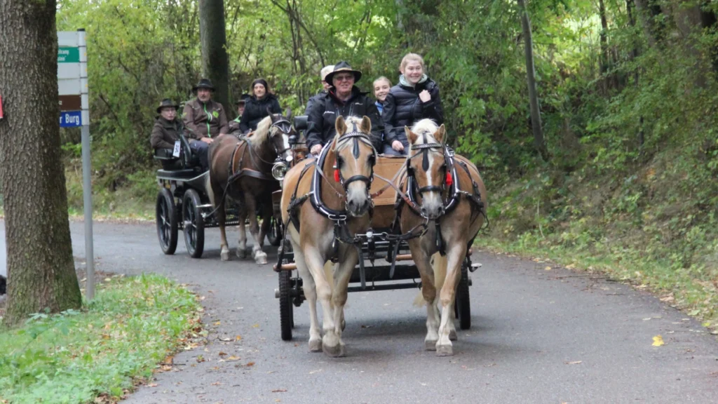 Kutschenausfahrt auf der Waldstraße; vorn ein Haflinger-Zweispänner mit fröhlichen Mitfahrern.