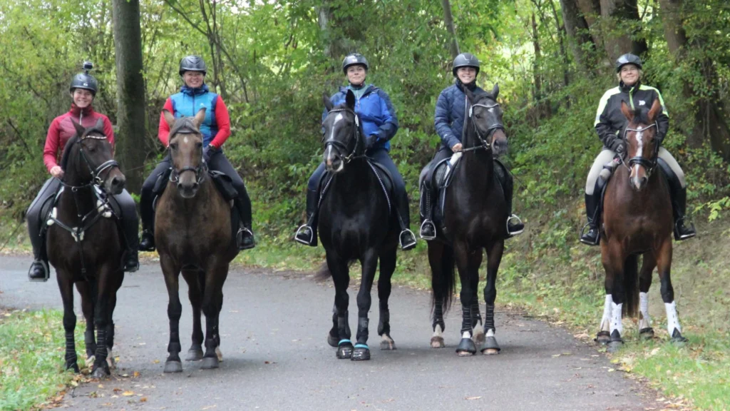 Fünf Reiterinnen und Reiter nebeneinander auf der Waldstraße; Pferde in Ruhe, Waldkulisse.