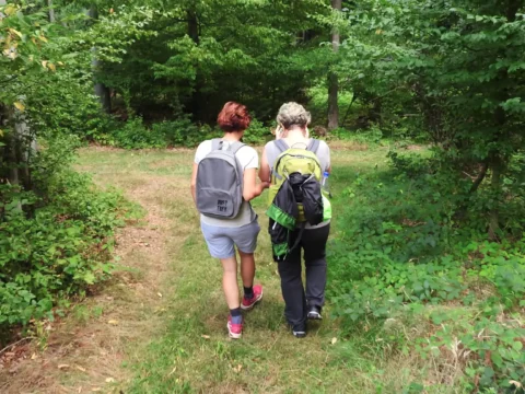 Auszeit für Körper und Seele: Fastenwandern für Frauen im Naturpark Südharz
