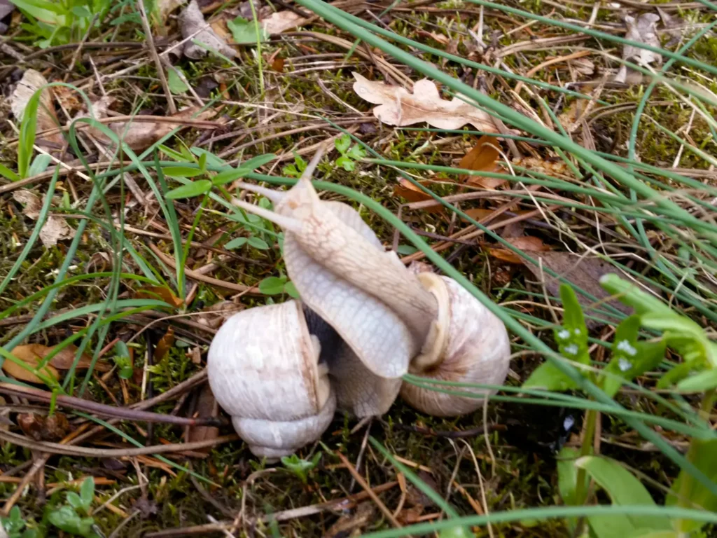 Frühlingserwachen: Sonntagssprechstunde mit Dr. Wald im März