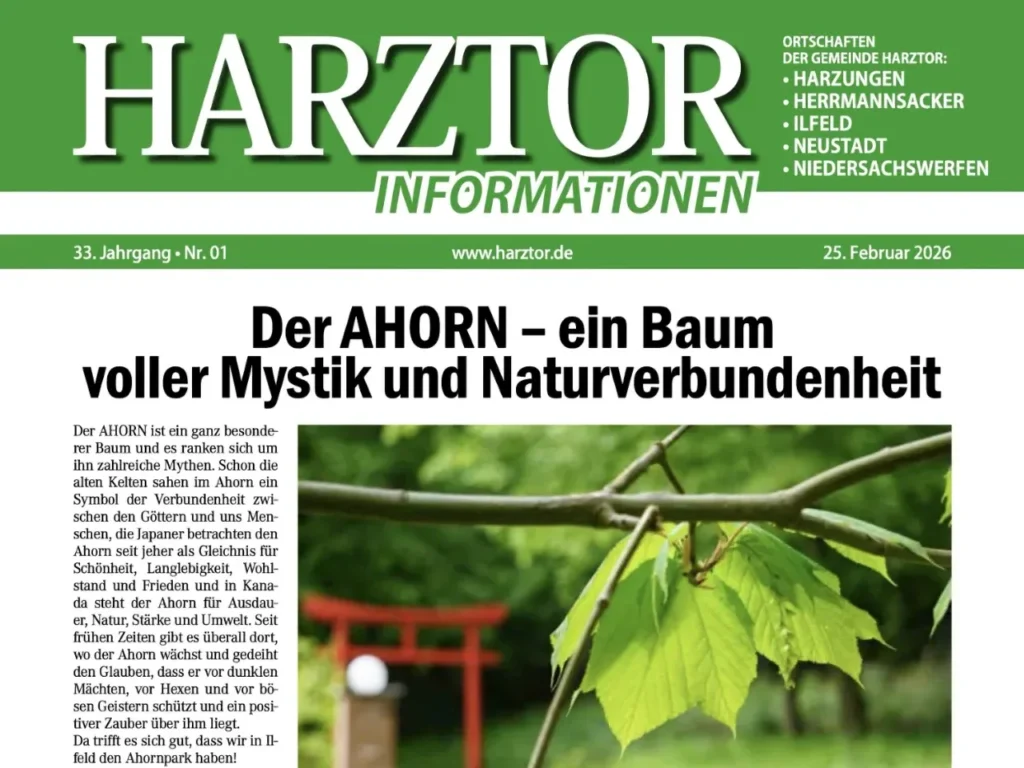 Neues aus der Gemeinde: Harztor-Informationen 1/26 sind da!