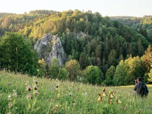Eine sonnige Landschaftsaufnahme aus dem S&uuml;dharz mit einer bl&uuml;henden Fr&uuml;hlingswiese, markanten Felsen und W&auml;ldern im Hintergrund. Eine Person fotografiert die idyllische Naturkulisse.