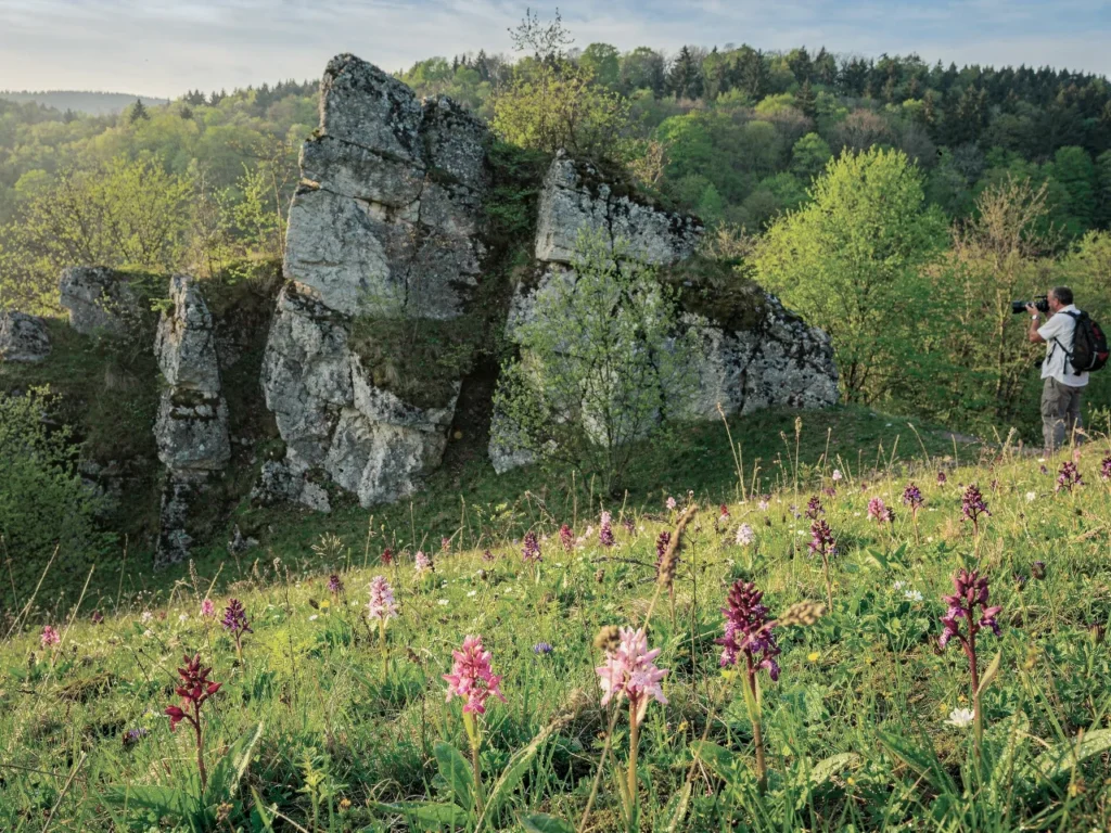 Eine sonnige Landschaftsaufnahme aus dem Südharz mit einer blühenden Frühlingswiese, markanten Felsen und Wäldern im Hintergrund. Eine Person fotografiert die idyllische Naturkulisse.