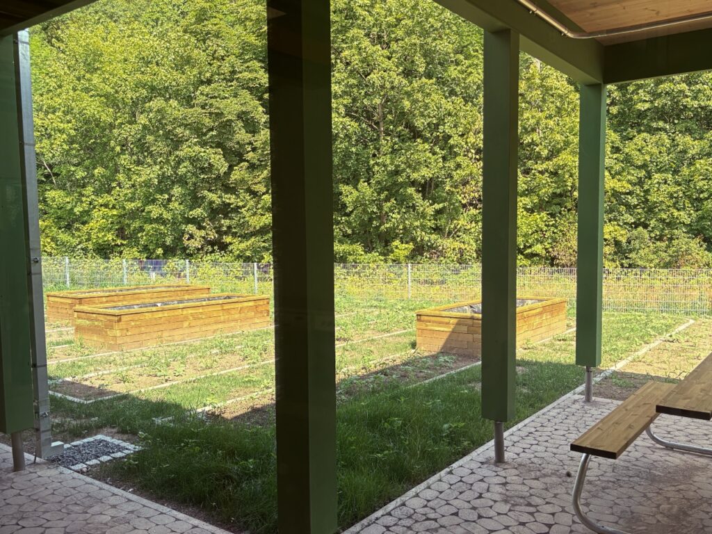 Blick von der überdachten Terrasse auf den Schulgarten. Auf der Wiese stehen Hochbeete aus Holz, dahinter beginnt der Wald.