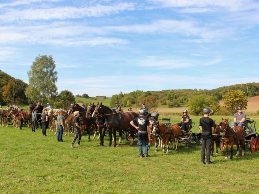 Aufmarschparade der Südharz-Rallye 2026 in Harzungen: mehrere Gespanne und Reiter auf der Wiese vor bewaldeten Hügeln.