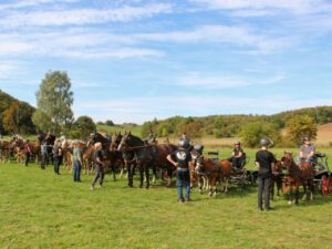 Aufmarschparade der S&uuml;dharz-Rallye 2026 in Harzungen: mehrere Gespanne und Reiter auf der Wiese vor bewaldeten H&uuml;geln.