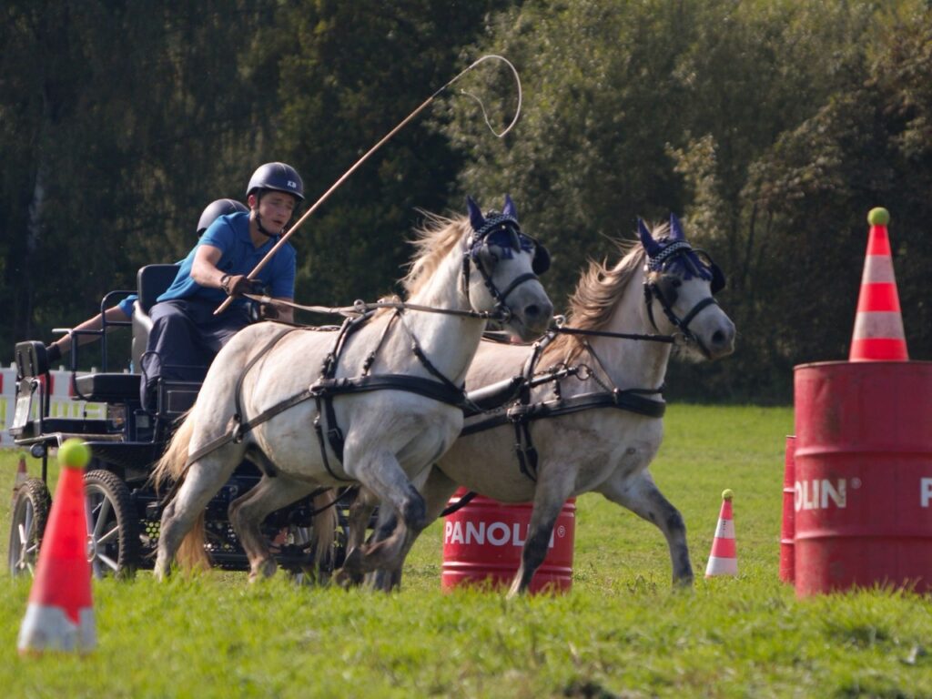 Julien Plättner im Parcours der Südharz-Rallye 2026: helles Ponygespann am schwarzen Sportwagen zwischen roten Fässern und Hütchen mit Tennisbällen, Fahrer in blauem Helm mit langer Peitsche.