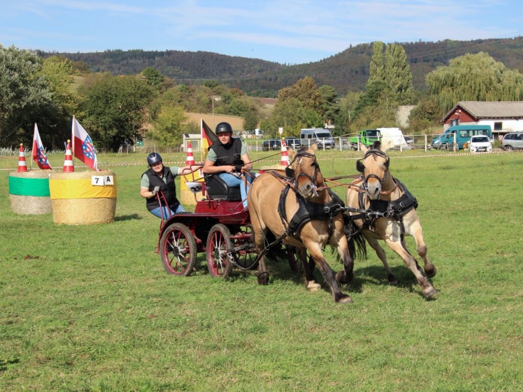 Christoph Ziegenhardt im Parcours der Südharz-Rallye 2026: Zweispänner auf rotem Marathonwagen zwischen Strohballen und Hütchen; die Beifahrerin lehnt sich zum Ausbalancieren nach außen, Hügellandschaft im Hintergrund.