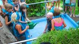 Neptuntaufe durch Kinder im Waldbad Neustadt